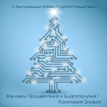 С НОВЫМ ГОДОМ 2019 !